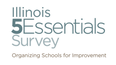  IL 5Essentials Survey